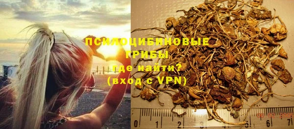 дурь Алзамай