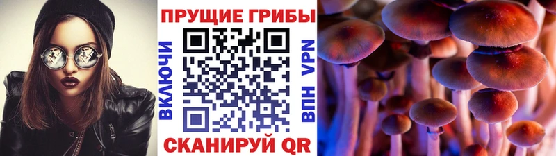 Галлюциногенные грибы Magic Shrooms  Иннополис 